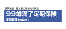 99歳満了定期保険