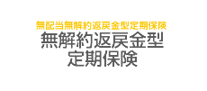 無解約返戻金型定期保険