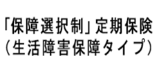 「保障選択制」定期保険（生活障害保障タイプ）