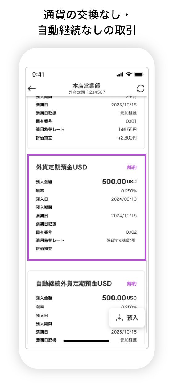 明細確認/通貨の交換なし・自動継続なしの図