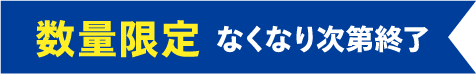 数量限定 なくなり次第終了