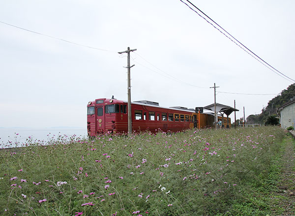 四国のおすすめ観光列車!車窓から楽しめる絶景や豪華な料理を紹介