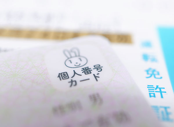 マイナ免許証とは?メリットや手続き方法をわかりやすく解説