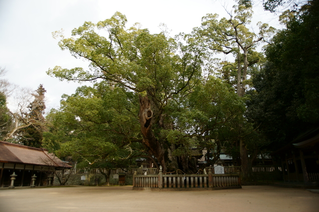 大山祇神社