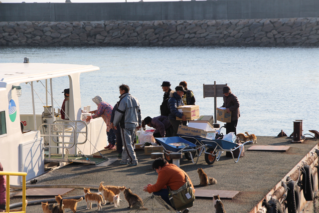 船員から荷物を受け取る島の人たちと出迎える猫たち