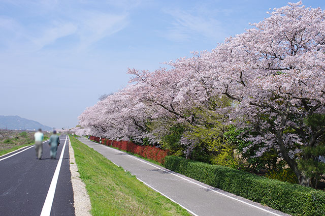 東温市