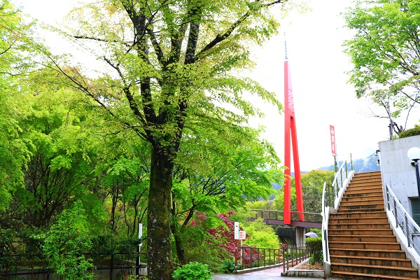 道の駅「霧の森」階段