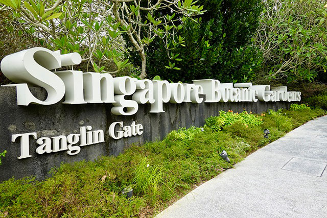 シンガポール初の世界遺産 ボタニック ガーデン徹底ガイド Iyomemo いよめも