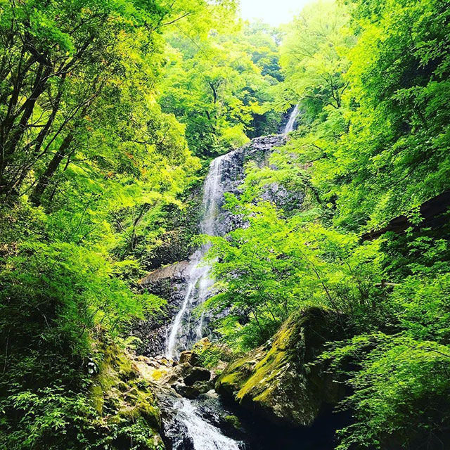 白猪の滝
