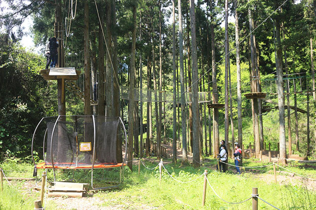 フォレストアドベンチャー