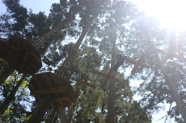 フォレストアドベンチャー