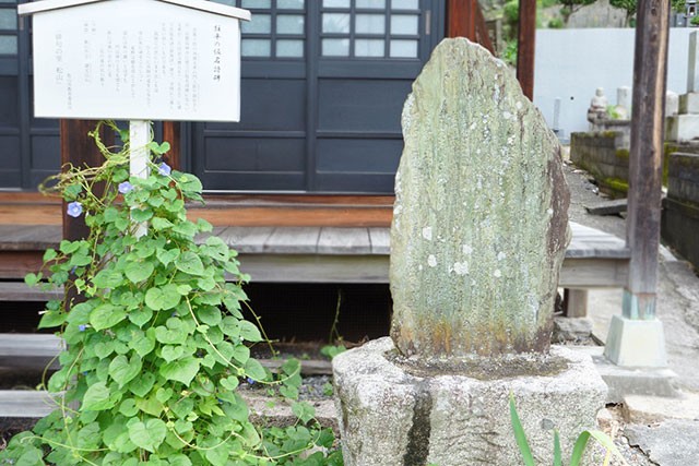 圓満寺の穴場の見どころ