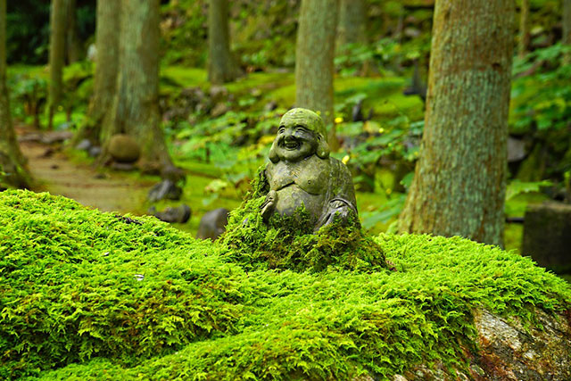 遊び心が散りばめられた苔庭の空間