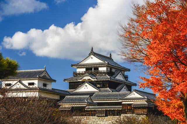 愛媛県の紅葉名所3選