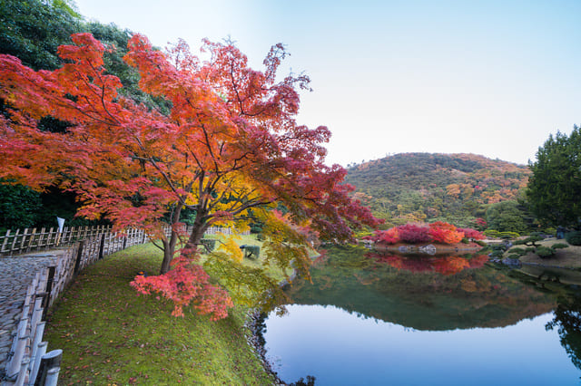 香川県の紅葉名所2選