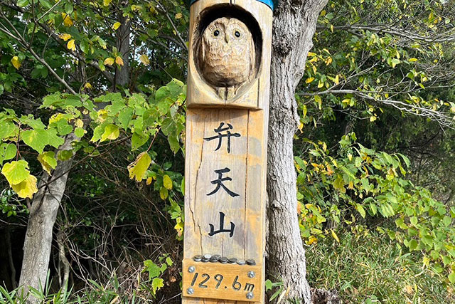 弁天山