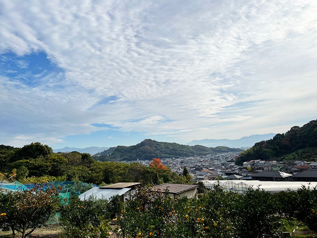 弁天山