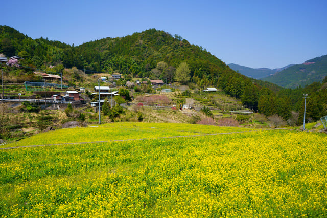 【徳島】四国の移住支援制度