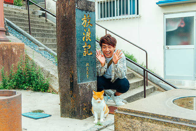 猫の細道