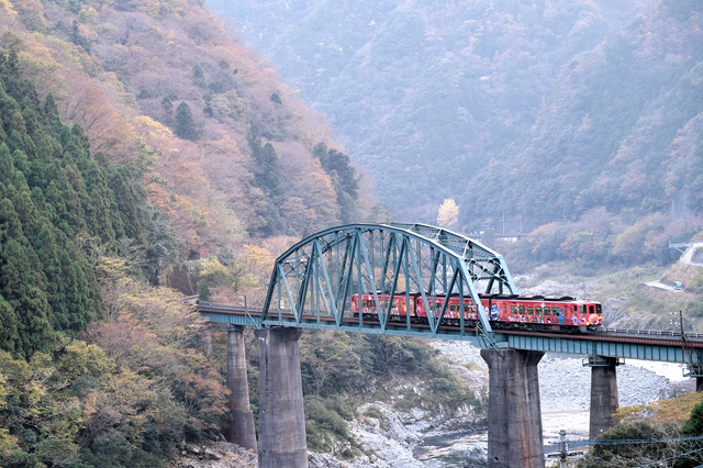 四国のおすすめ観光列車 トロッコ編