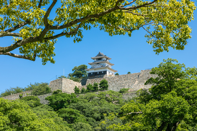 香川県でおすすめのお城