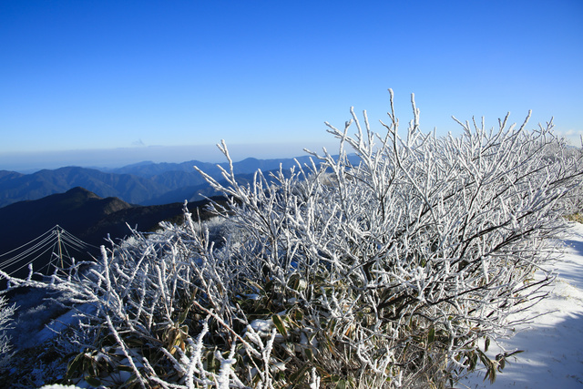 四国4県の「雪が降る・降らない」地域差