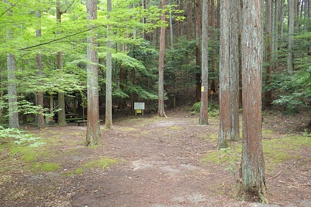 ふれあいの森キャンプ場（今治市玉川町）