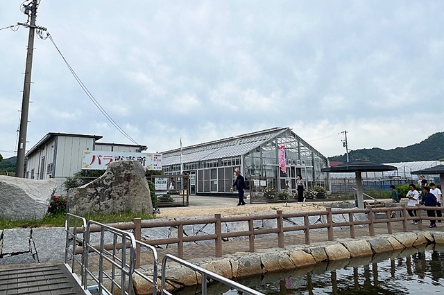 バラ苗販売所（期間限定）