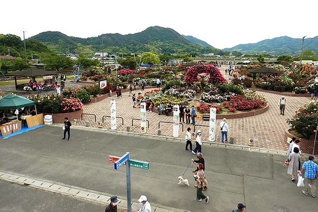 よしうみバラ公園の施設情報とアクセス