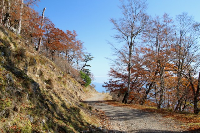 剣山スーパー林道（徳島県）