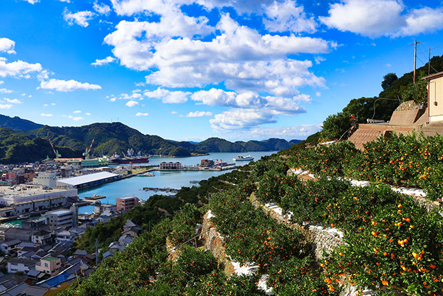 八幡浜市について