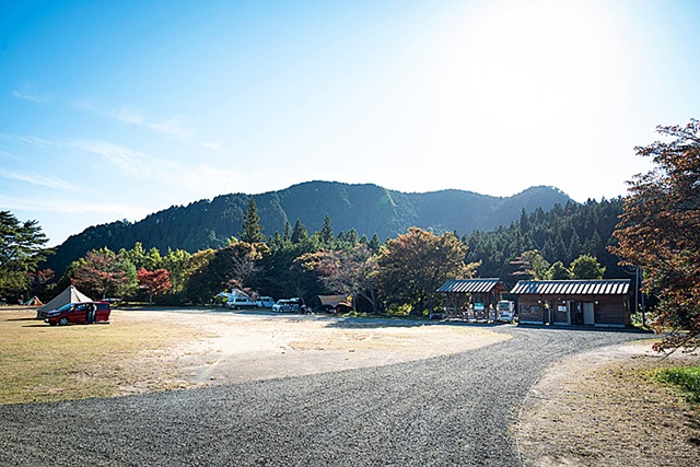 千本高原キャンプ場（久万高原町）ドッグラン付きサイトで絶景の星空・雲海を満喫場