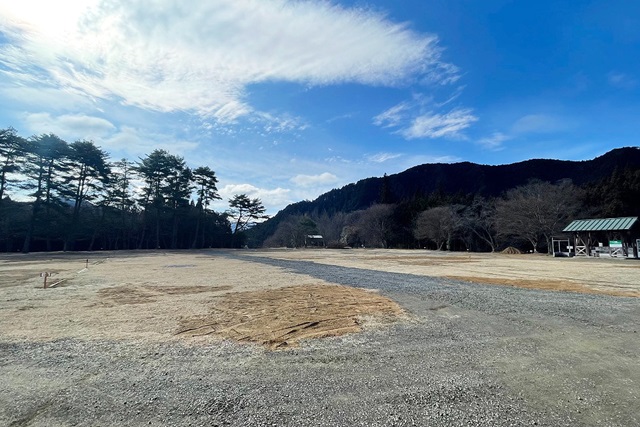 千本高原キャンプ場（久万高原町）ドッグラン付きサイトで絶景の星空・雲海を満喫