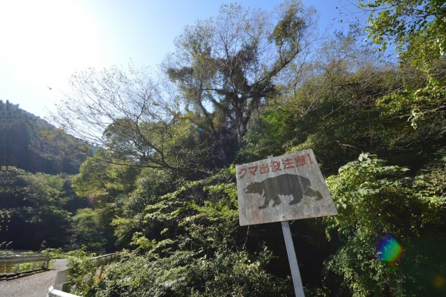 クマ出没注意
