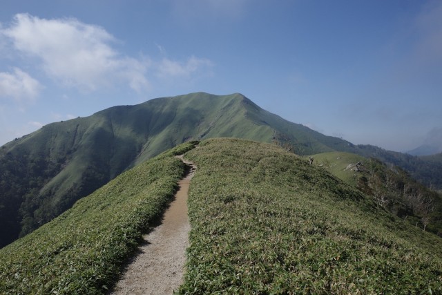 山