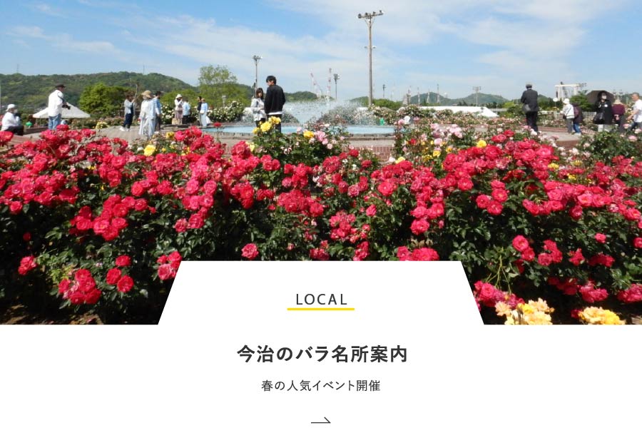 LOCAL 今治のバラ名所案内！春の人気イベント開催