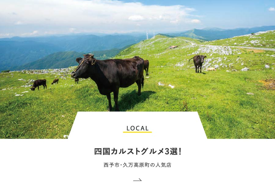 LOCAL 四国カルストグルメ3選！西予市・久万高原町の人気店