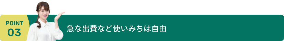 急な出費など使いみちは自由